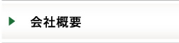 ЊTv